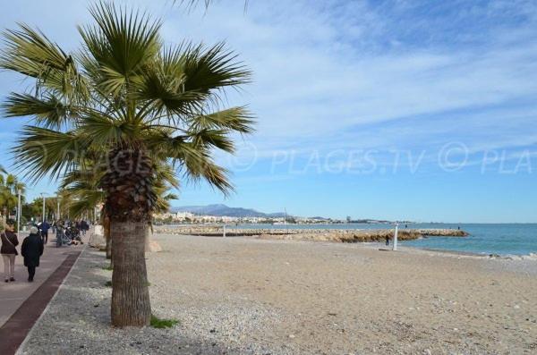 Grand Studio Tres Agreable Avec Bar, Cuisine Et Terrasse Cagnes-sur-Mer Kültér fotó